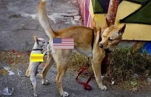 22 Meme 3 que thể hiện sự phân cực tư tưởng qua ảnh chế