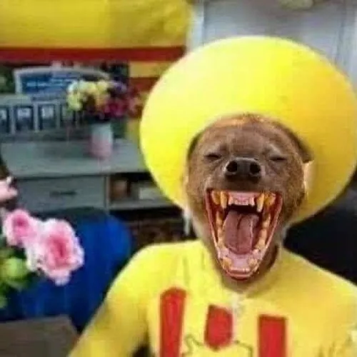 26 Hình troll 3 que biến đề tài nhạy cảm thành chuyện cười