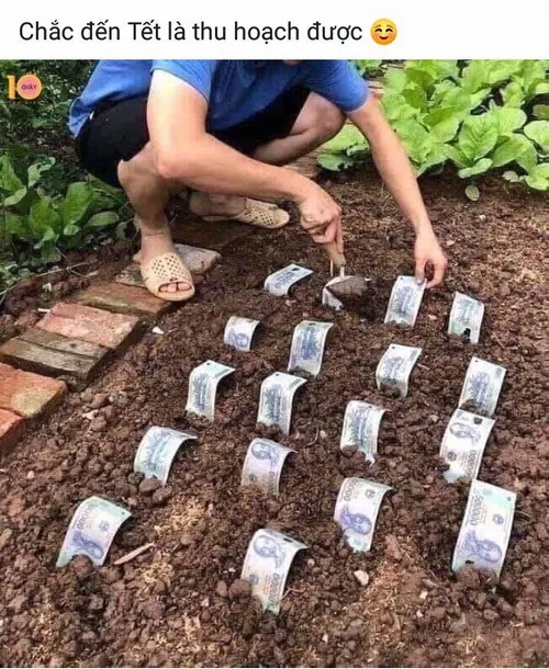 Meme 500k – nụ cười pha mùi nợ nần.