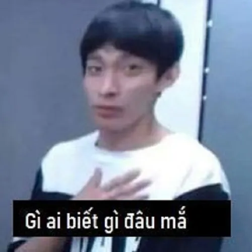 Hình chế biểu cảm vô tội hài hước