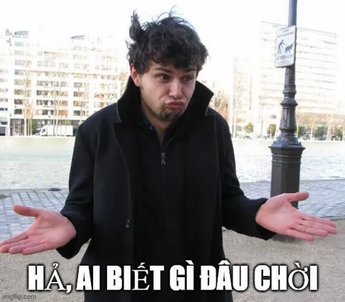 Khoảnh khắc troll với câu “ai biết gì đâu”