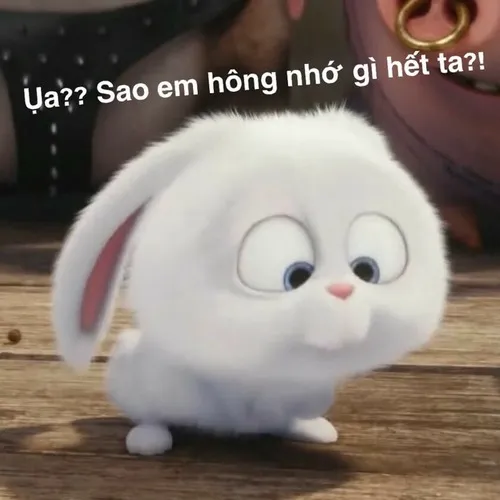 Ảnh hài biểu cảm cute vô lý cực mạnh