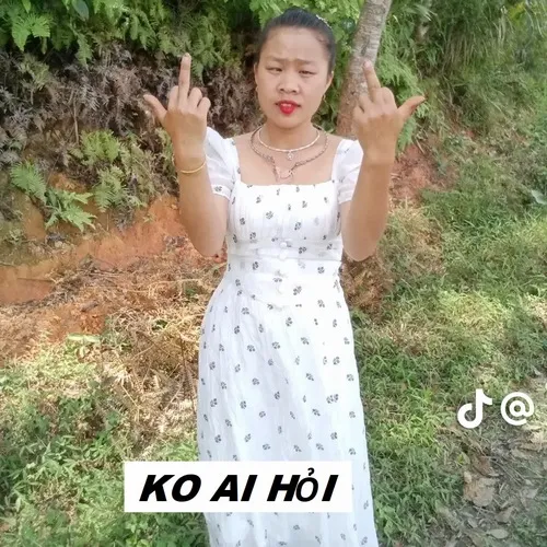 16 Tại sao meme “ai hỏi” lại hot khắp TikTok
