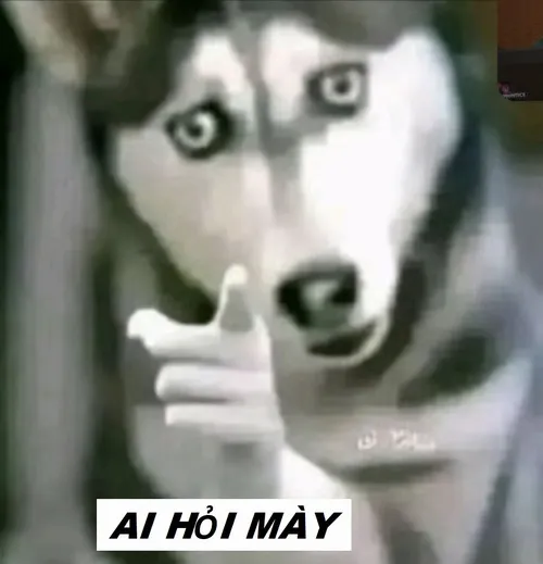 17 Khi “ai hỏi” trở thành phản xạ dân mạng