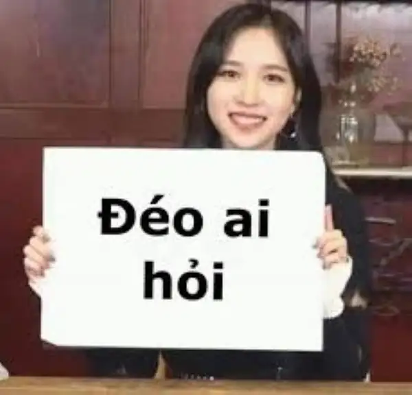 18 Từ bình luận vui đến meme gắt “ai mượn?”