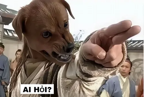 4 Bộ sưu tập meme ai hỏi: Khi nói nhiều lại thành điểm nhấn hài hước