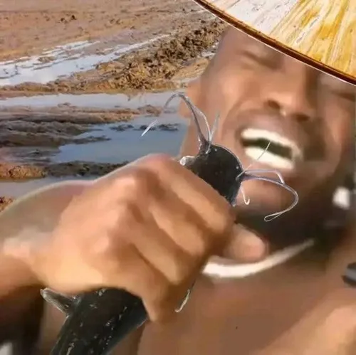 1 Dân mạng TikTok chế loạt video “ăn ba tô cơm” cười lăn lộn