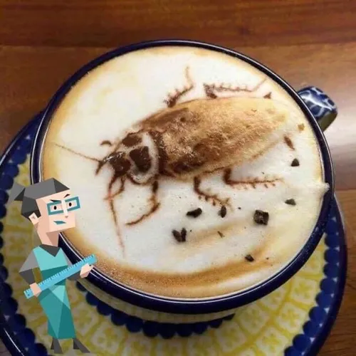 Ảnh ly Latte hình con gián