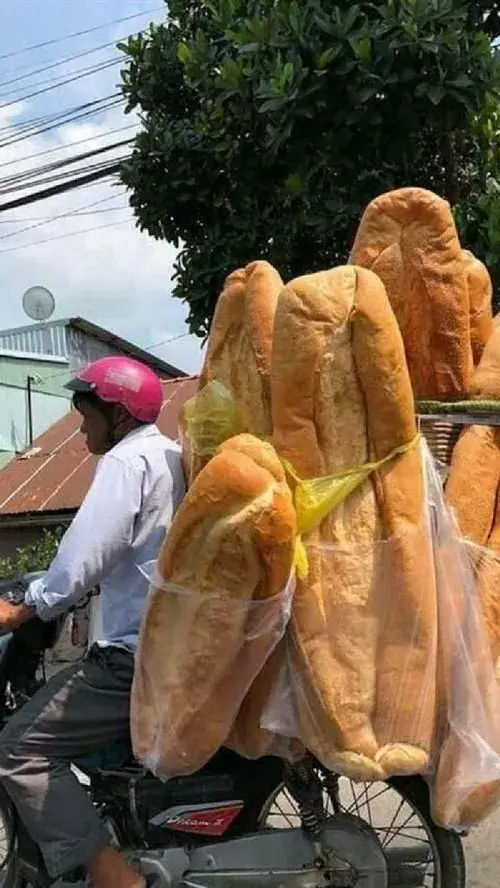 Bánh mì khổng lồ