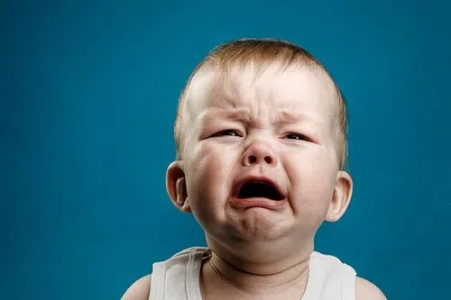 23 Khi logic không thắng nổi cảm xúc: meme ăn vạ ra tay
