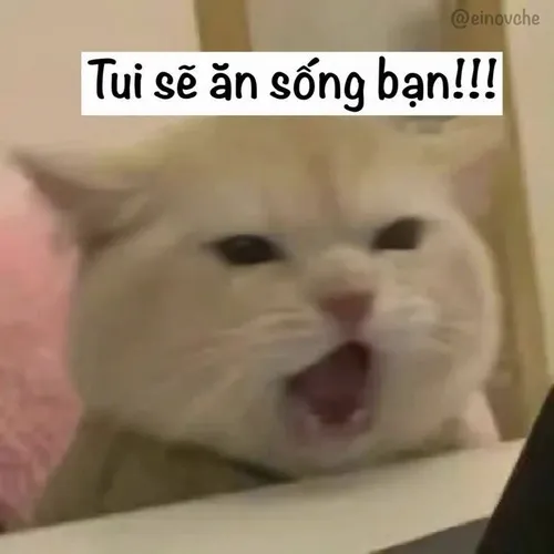 46 45