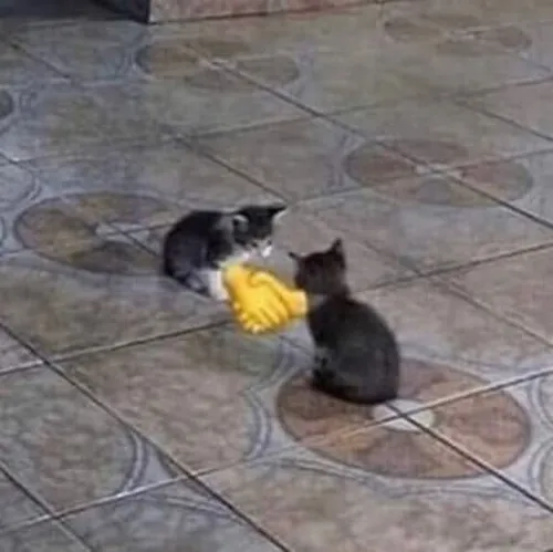 23 Hình troll dáng bắt tay đầy châm biếm