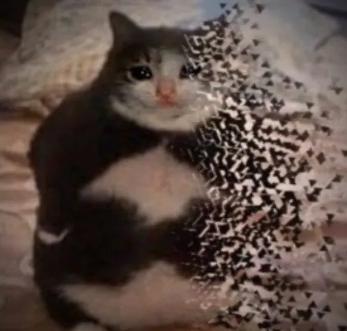 Meme bay màu giúp giới trẻ biểu đạt nỗi sợ bị bỏ rơi