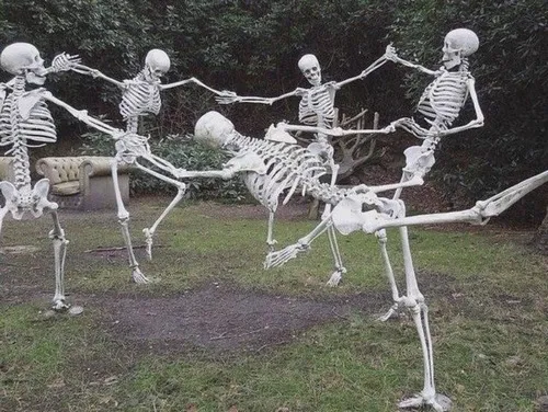 Meme hài xương đang ngáo ngơ thật