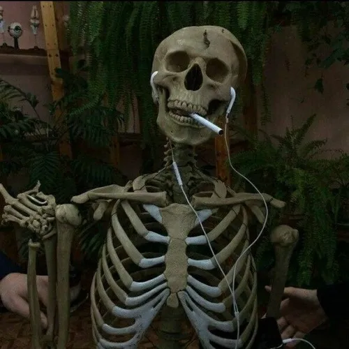 Meme hài bộ xương gục đầu vì chán