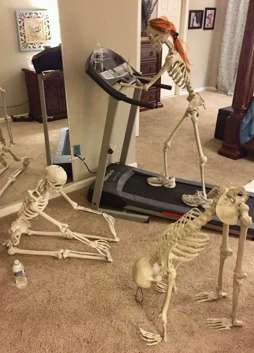 Meme hài xương chờ deadline gõ cửa