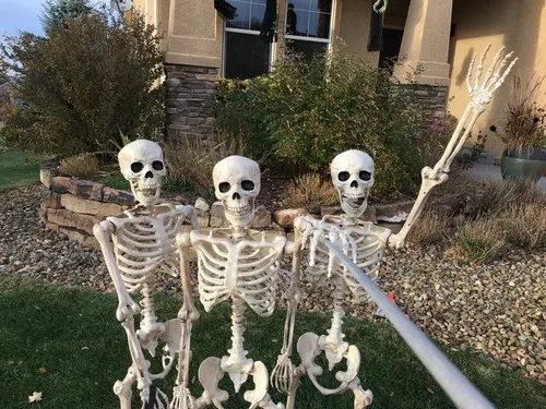 Meme ba bộ xương cười khô cả họng