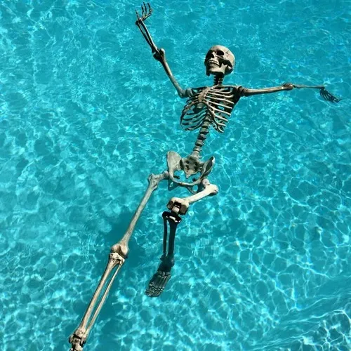 Ảnh chế xương ngâm mình dưới nước