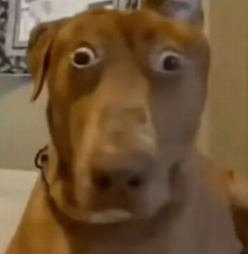 Gương mặt lú lẫn hóa biểu tượng cười ra nước mắt