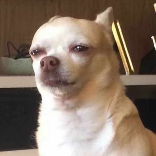 Meme chế học sinh bị hỏi bài và cú đơ bất tử