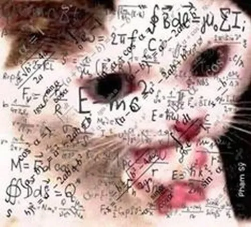 Hình chế vui mô tả cảm xúc “ơ kìa” không thể tả