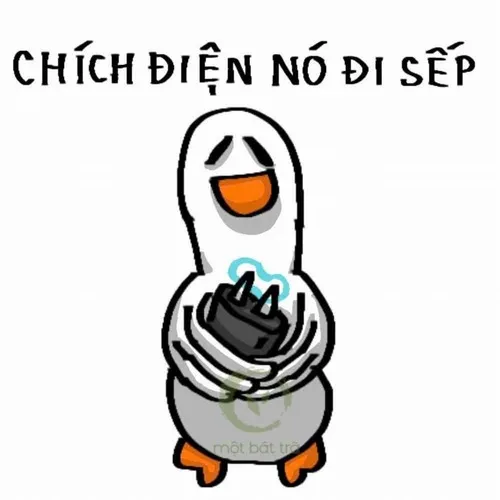 Biểu cảm này xứng đáng huy chương vàng mặn mòi.