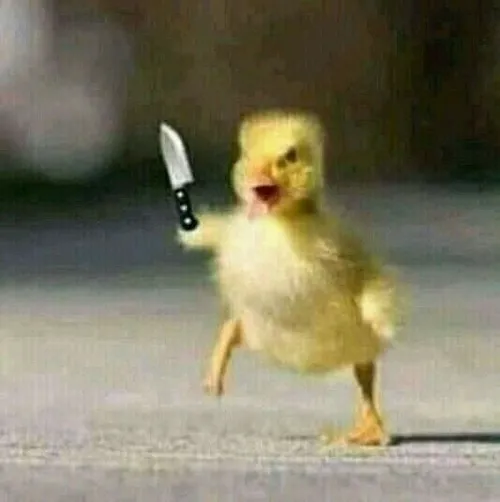 Meme cọp vàng “đừng đùa với sự lú của ta”