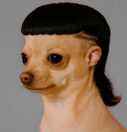 Hình chế chim cú đang hoang mang vì bị gọi tên