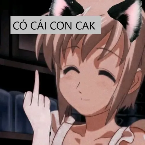 Ảnh vui cái con card, meme quốc dân của năm.