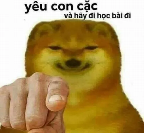 Ảnh hài cái con cạc, nhìn là hiểu ý ngay.