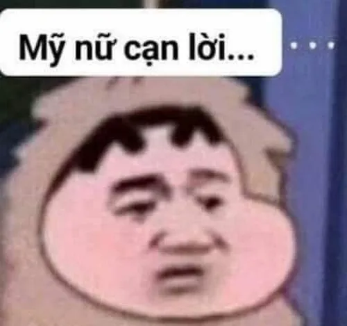 Ảnh troll im re, biểu cảm nói hộ lòng người