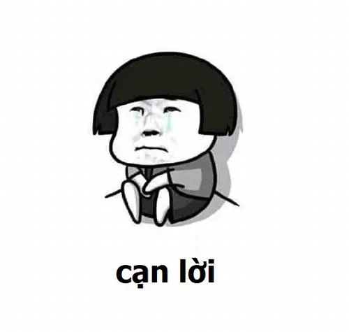 Ảnh vui cạn lời thật sự, khỏi bàn thêm