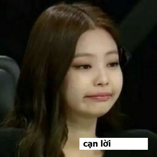 Meme hài bó tay, đúng kiểu “tôi thua”