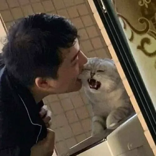 27 Meme cắn người kiểu “tình yêu kiểu khủng long”