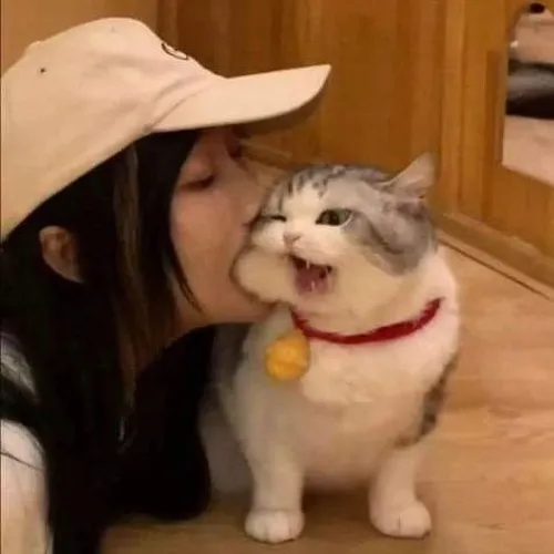 20 Meme chế biểu cảm người cắn xong giả vờ vô tội