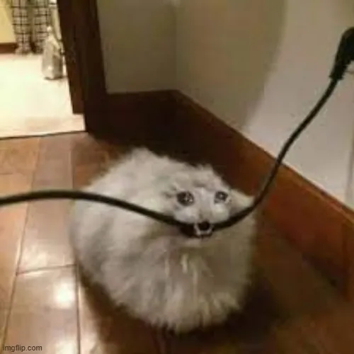 16 Meme vui biểu cảm người bị cắn la oai oái cực hài