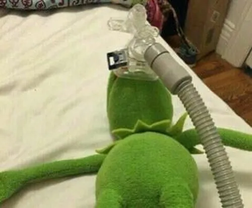 Ảnh chế ếch xanh thở oxy