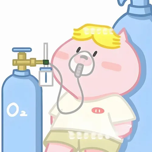 Meme hài thở oxy, ôi deadline dí ác quá