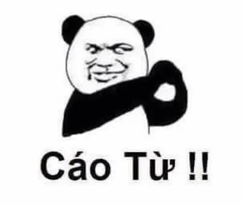 Meme gấu trúc cáo từ, phong thái cao nhân.