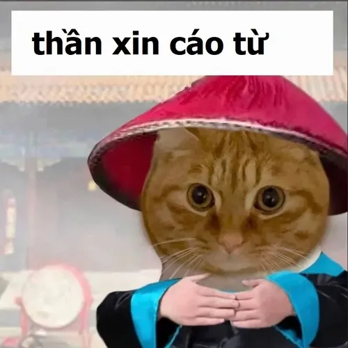 Meme vui cáo từ Lệnh Hồ Xung phất áo, rời bàn họp
