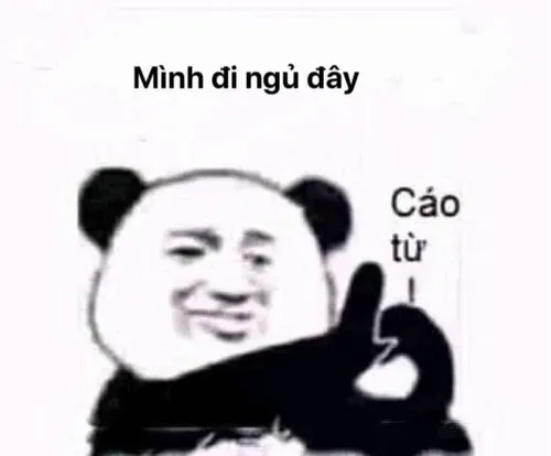 Ảnh vui gấu trúc chào chia tay, nụ cười nhẹ mà sâu cay.