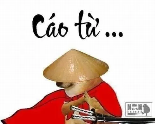 Meme cáo từ, phong thái ẩn sĩ chính hiệu.