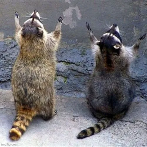 Ảnh chế cầu thần linh giúp vượt qua thử thách