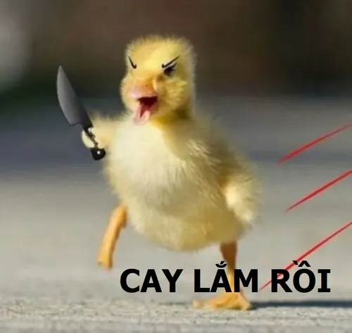 Meme chế phát cáu vì bị troll tới công chuyện