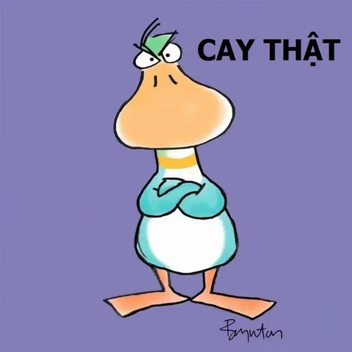 Meme hài cáu kỉnh, biểu cảm quá đỉnh luôn