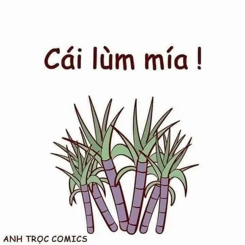 Meme hài cay cú muốn đập bàn liền luôn