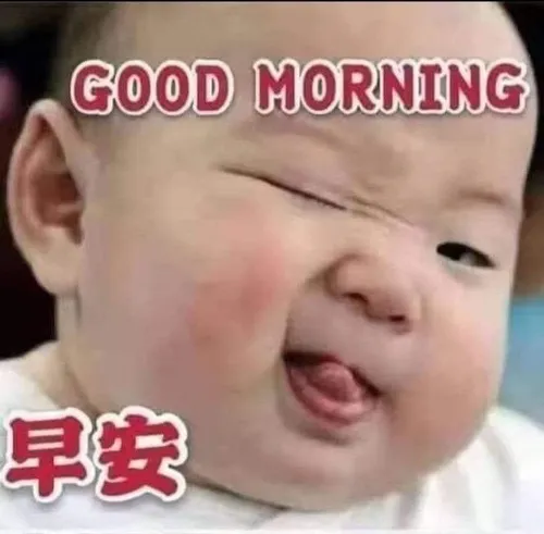 Meme chào ngày mới vui tươi đầy năng lượng