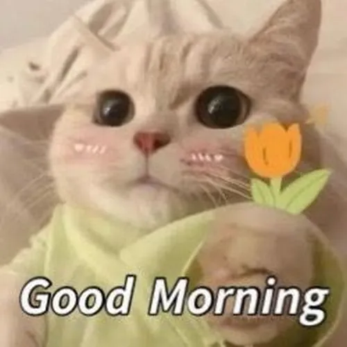 Meme hài giúp mở đầu ngày thật chill