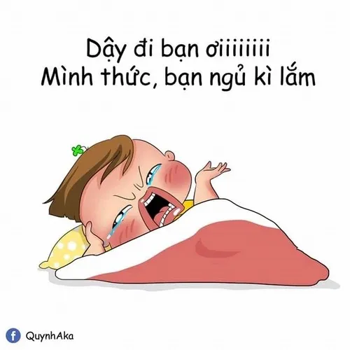 Ảnh troll buổi sáng lan mood tích cực
