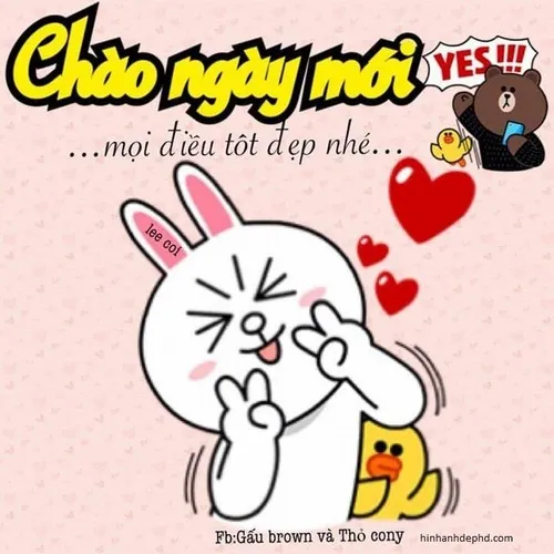 Meme chào sáng đơn giản mà lan năng lượng cực mạnh